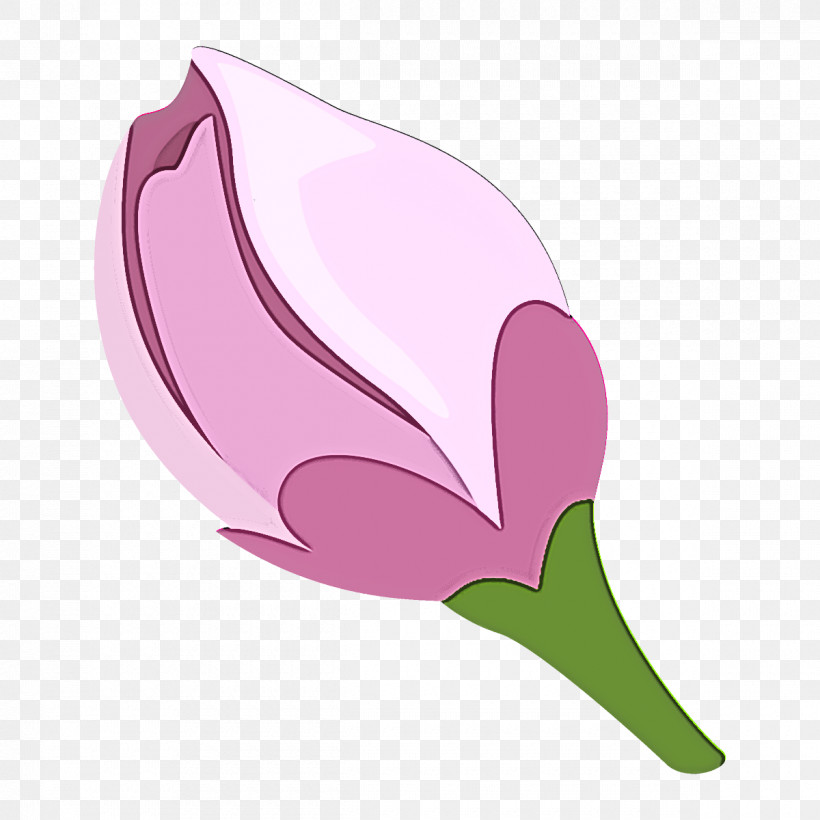 Plum Blossoms Plum Winter Flower, PNG, 1200x1200px, Plum Blossoms, Alismatales, Anthurium, Arum Family, Crocus Download Free