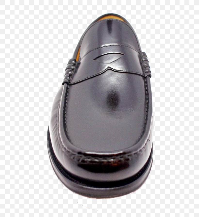 Shoe, PNG, 625x895px, Shoe Download Free
