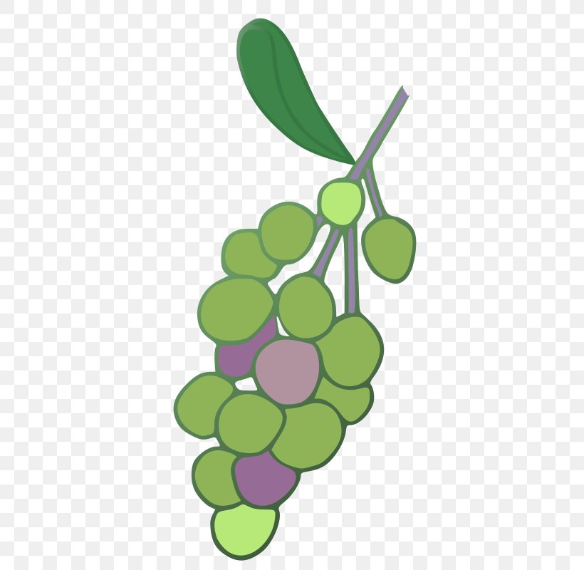 Wine Grape Leaves Concord Grape Shiraz, PNG, 366x800px, Wine, Berries, Cabernet Sauvignon, Common Grape Vine, Concord Grape Download Free