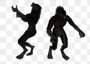 Werewolf - Counter-Strike: Source Werewolf Counter-Strike: Global Offensive Minecraft Cambiante PNG