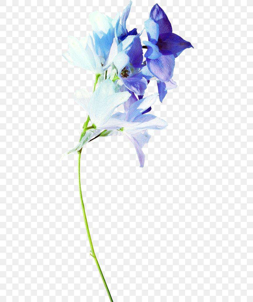 Flower Blue Floral Design Clip Art, PNG, 439x980px, Flower, Bellflower Family, Blog, Blue, Cut Flowers Download Free