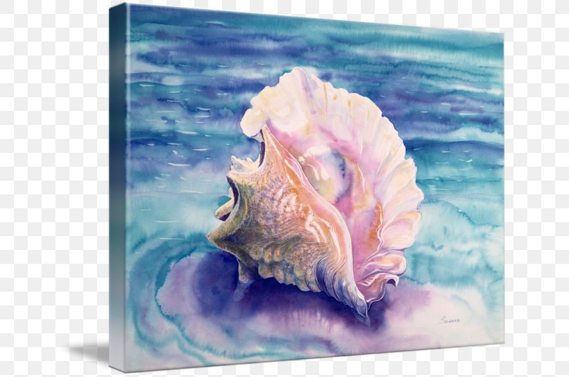 Queen Conch Watercolor Painting Seashell, PNG, 650x543px, Conch, Art, Artist, Canvas, Conchology Download Free