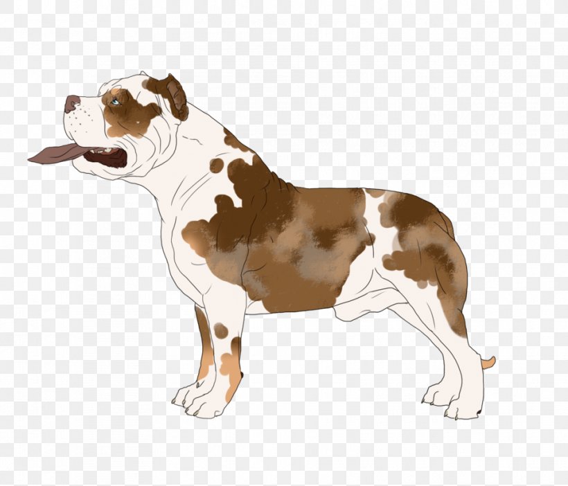 American Staffordshire Terrier Dog Breed Staffordshire Bull Terrier Non-sporting Group Snout, PNG, 966x828px, American Staffordshire Terrier, Breed, Carnivoran, Dog, Dog Breed Download Free