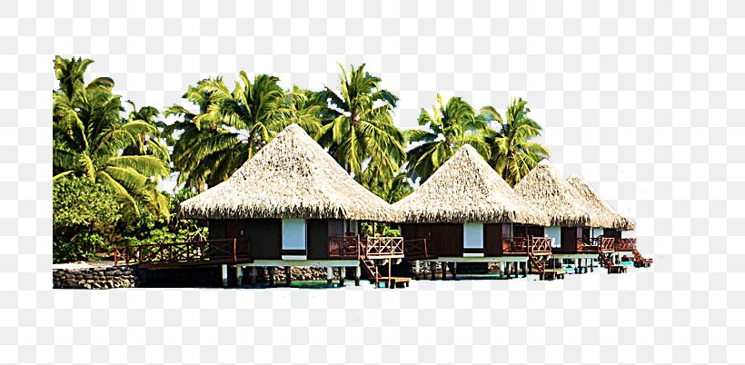 Bali Punta Cana Hotel Sofitel Bora Bora Marara Beach Resort Bungalow, PNG, 703x402px, Bali, Accommodation, Allinclusive Resort, Beach, Bora Bora Download Free