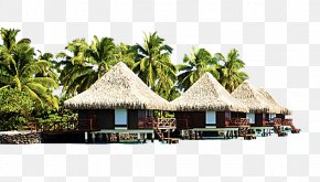 Coconut Tree - Bali Punta Cana Hotel Sofitel Bora Bora Marara Beach Resort Bungalow PNG
