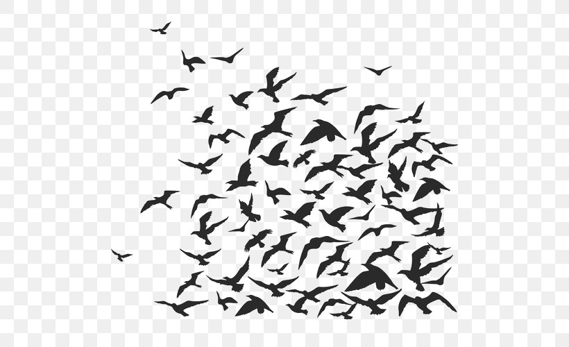 Bird Crows Flock, PNG, 500x500px, Bird, Animal Migration, Beak, Bird Flight, Bird Migration Download Free