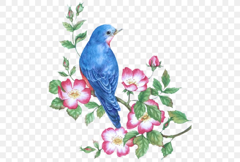 Bird Watercolor Painting Drawing, PNG, 500x553px, Bird, Art, Beak, Bird Nest, Bluebird Download Free