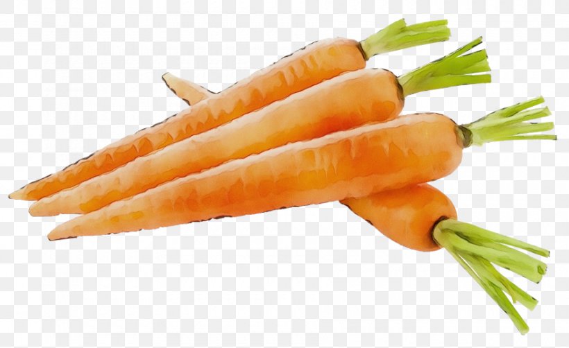 Carrot Vegetable Food Root Vegetable Baby Carrot, PNG, 900x551px, Watercolor, Baby Carrot, Carrot, Cuisine, Food Download Free
