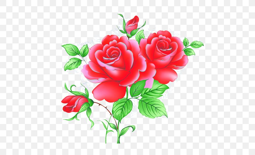 Garden Roses Beach Rose Centifolia Roses Red Petal, PNG, 500x500px, Garden Roses, Animation, Artificial Flower, Beach Rose, Centifolia Roses Download Free