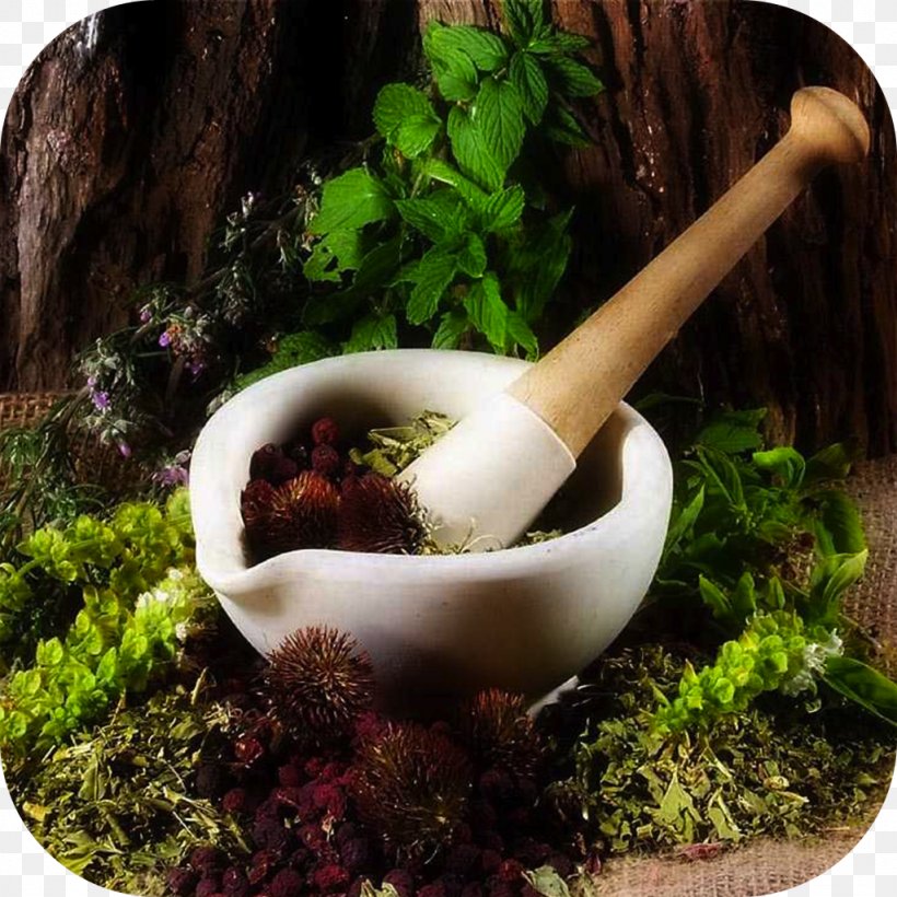Herbalism Medicine Naturopathy Mortar And Pestle, PNG, 1024x1024px, Herb, Alternative Health Services, Alternative Medicine, Apothecary, Ayurveda Download Free