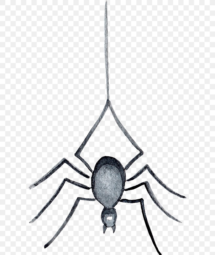 Light Graphics Software, PNG, 605x972px, Spider, Animal, Black And White, Halloween, Illustration Download Free