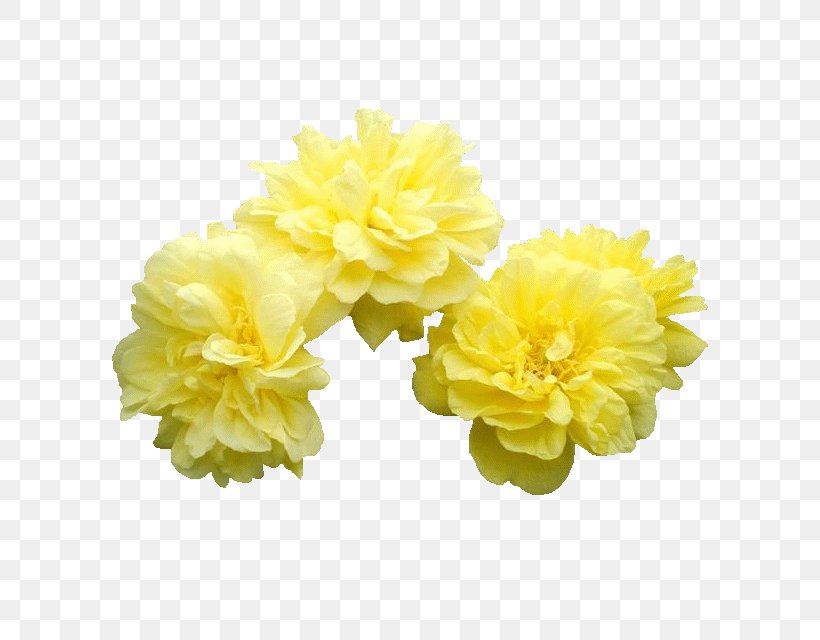 Moutan Peony Flower, PNG, 640x640px, 3d Computer Graphics, Moutan Peony, Artificial Flower, Copying, Cut Flowers Download Free