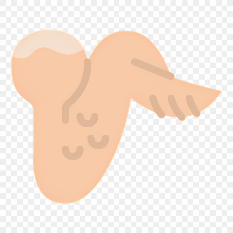 Chicken Wings - Fried Chicken Wing PNG