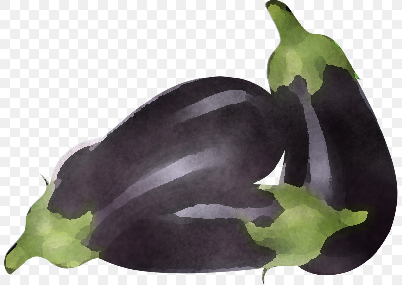Eggplant Vegetable Plant Flower, PNG, 802x581px, Eggplant, Flower, Plant, Vegetable Download Free