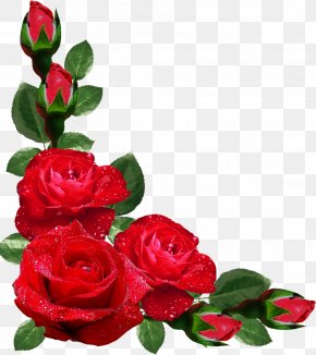 Rose - Flower Rose Picture Frames Japanese Border Designs Clip Art PNG