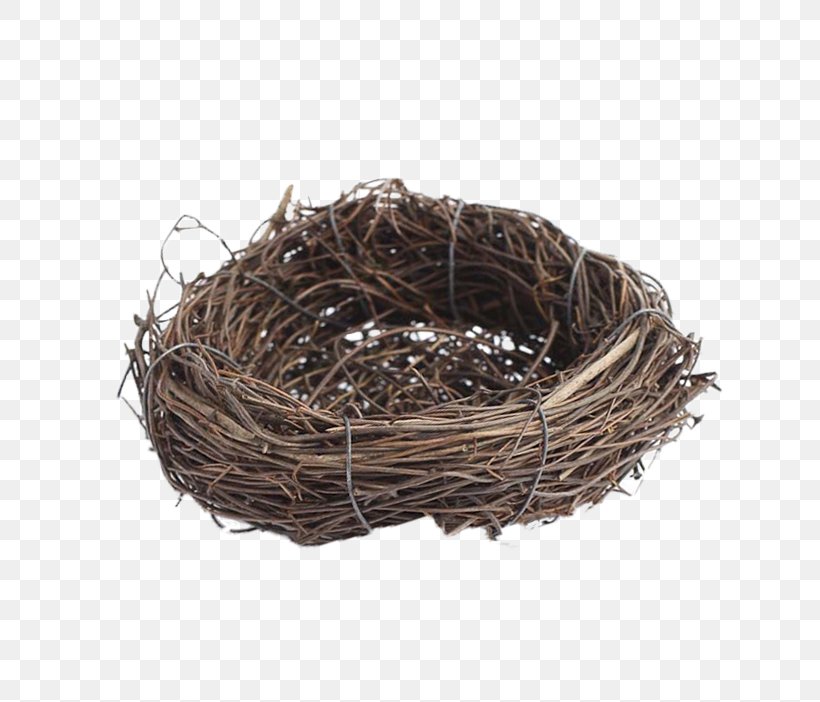Edible Birds Nest Swallow, PNG, 702x702px, Bird, Basket, Bird Nest, Edible Birds Nest, Grass Download Free
