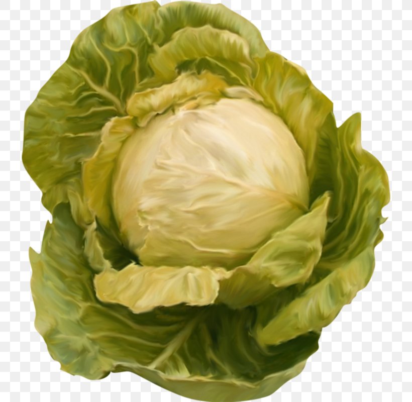 Red Cabbage Cauliflower Clip Art, PNG, 734x800px, Cabbage, Brassica Oleracea, Cauliflower, Chinese Cabbage, Cruciferous Vegetables Download Free