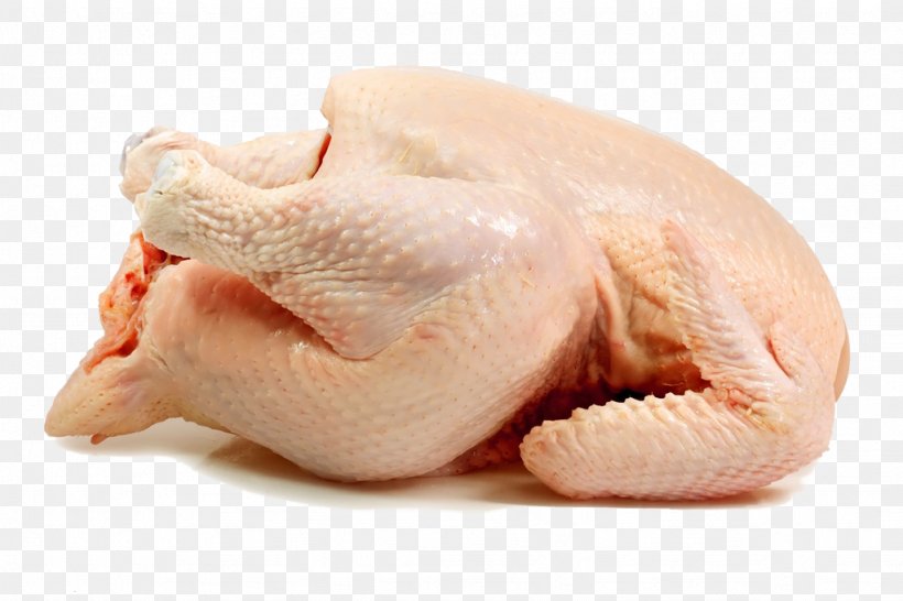 Chicken Broiler Turkey Meat Poultry, PNG, 1024x682px, Chicken, Animal Fat, Animal Source Foods, Chicken Fried Steak, Chicken Meat Download Free