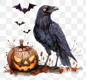 Crow - Raven With Halloween Pumpkin PNG