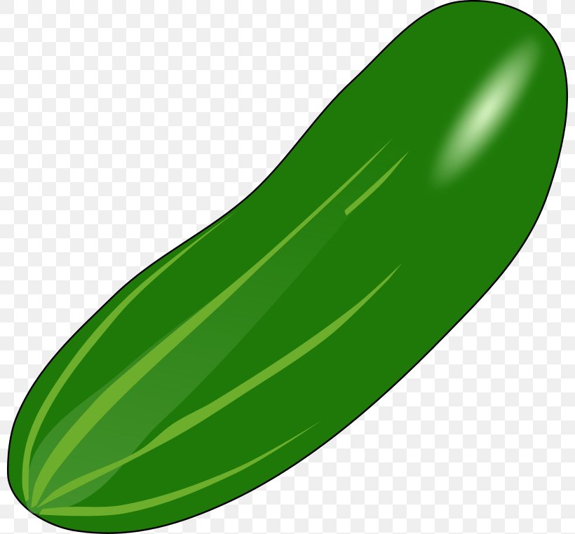 Cucumber Vegetable Zucchini Clip Art, PNG, 800x762px, Cucumber, Blog, Cucumber Gourd And Melon Family, Cucumis, Cucurbita Download Free