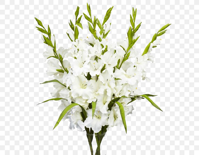 Floral Design Flower Bouquet Gladiolus White, PNG, 640x640px, Floral Design, Branch, Color, Cut Flowers, Dendrobium Download Free