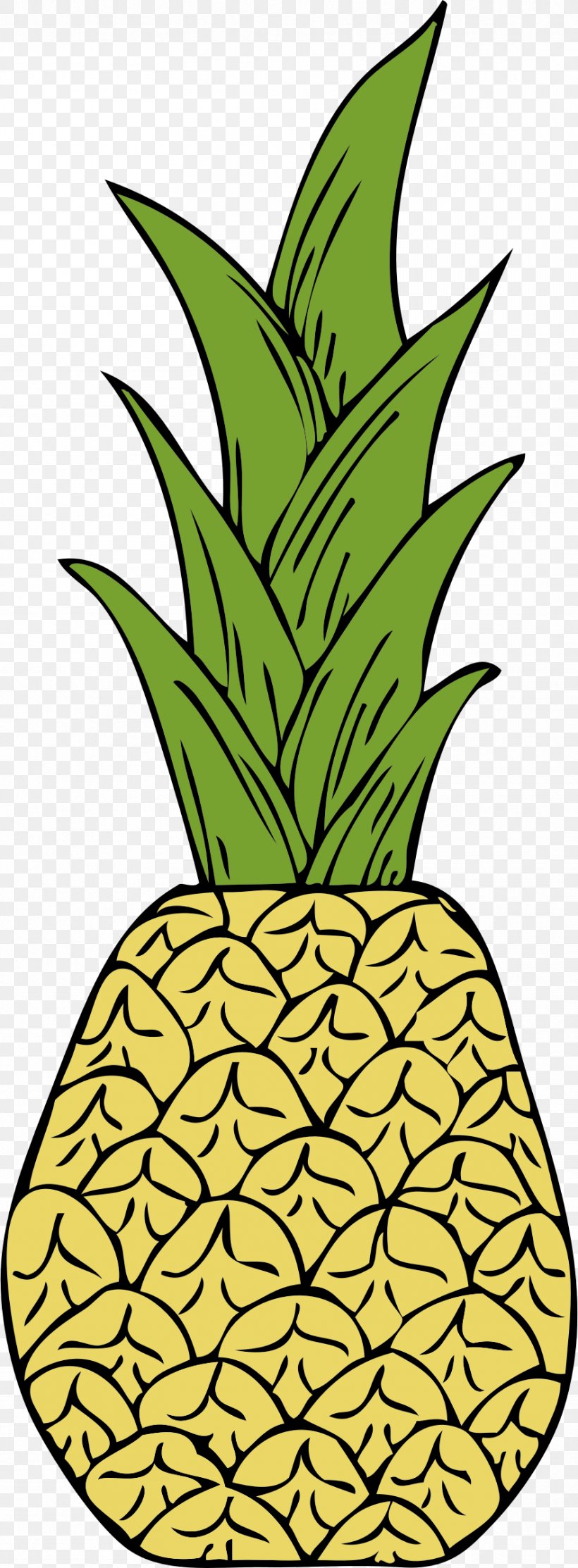 Pineapple Tropical Fruit Clip Art, PNG, 884x2400px, Pineapple, Ananas, Artwork, Drawing, Flowering Plant Download Free