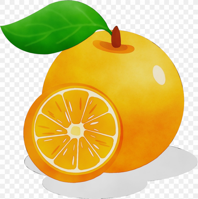 Orange, PNG, 1119x1124px, Watercolor, Apple, Bitter Orange, Clementine, Grapefruit Download Free