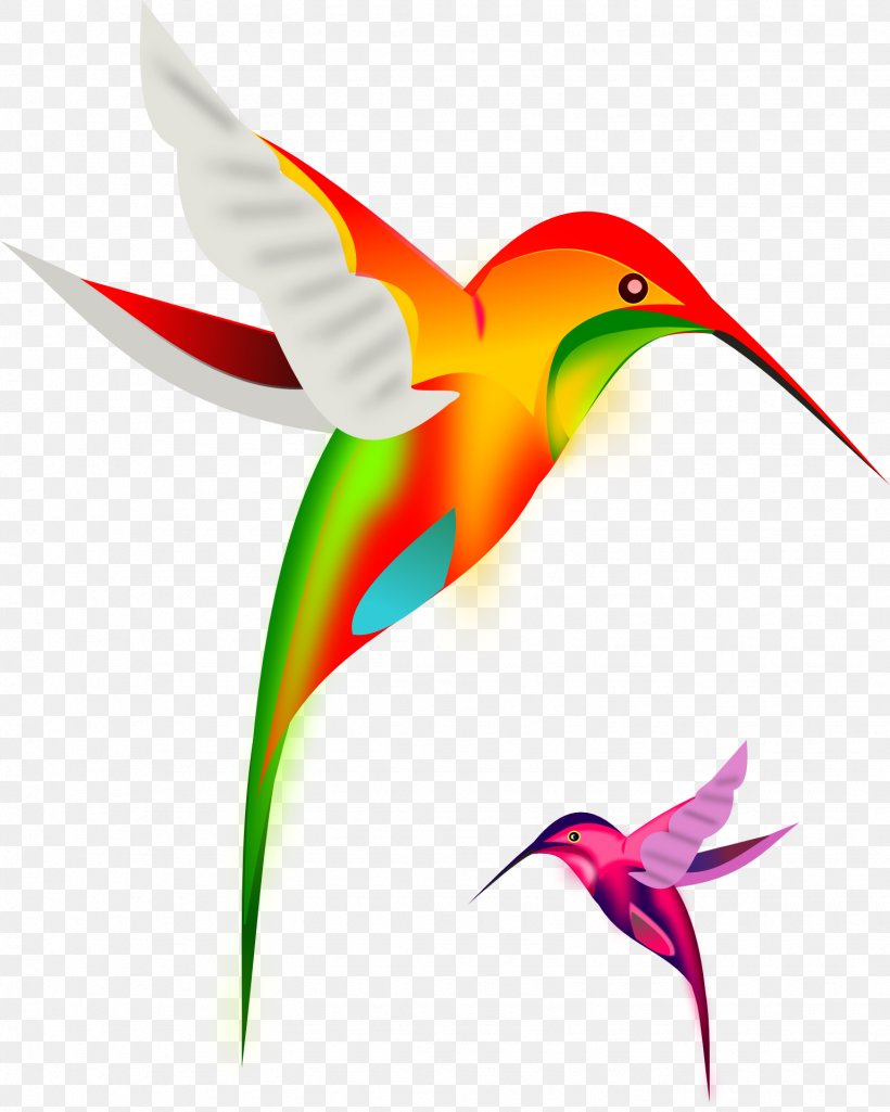 Ruby-throated Hummingbird Clip Art, PNG, 1535x1920px, Hummingbird, Beak, Bird, Blog, Flower Download Free