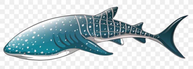 Whale Shark Clip Art, PNG, 3000x1077px, Shark, Animal Figure, Animation, Cartilaginous Fish, Drawing Download Free
