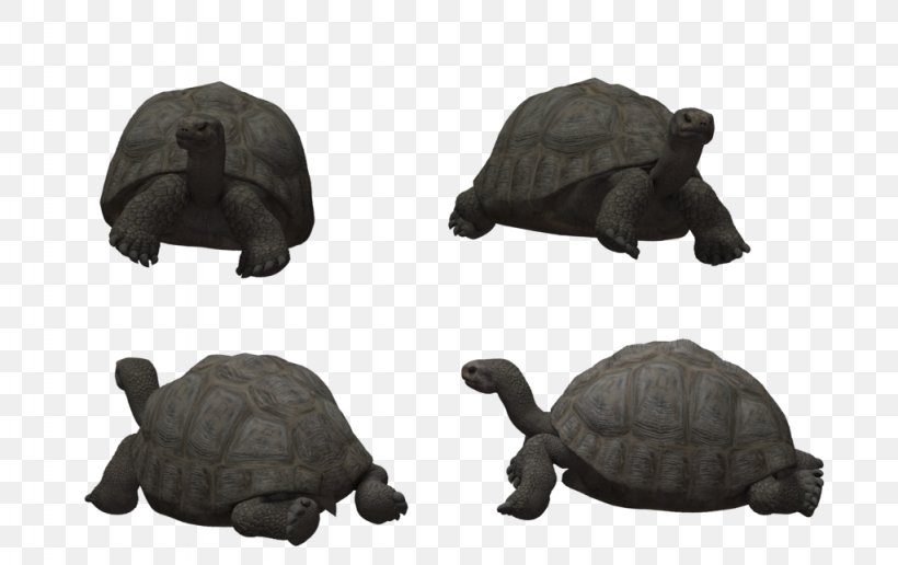 Tortoise Reptile Turtle Animal 3D Modeling, PNG, 1024x645px, 3d Computer Graphics, 3d Modeling, Tortoise, Animal, Art Download Free