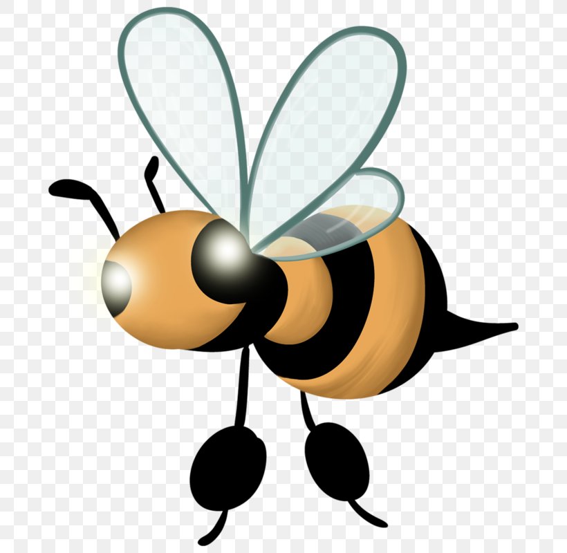 Bee, PNG, 700x800px, Bee, Arthropod, Artistic Inspiration, Cartoon, Creativity Download Free