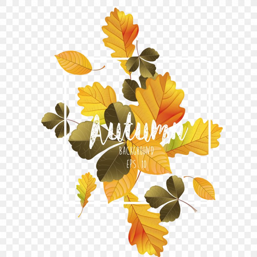 Calendula Officinalis Common Sunflower Yellow Pattern, PNG, 1500x1500px, Poster, Autumn, Calendula, Chrysanths, Daisy Family Download Free