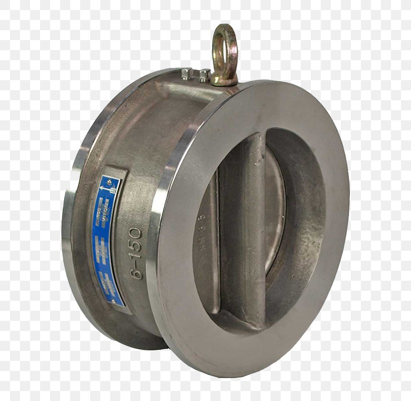 Check Valve Flange Control Valves Gate Valve, PNG, 800x800px, Check Valve, Brass, Butterfly Valve, Cast Iron, Control Valves Download Free