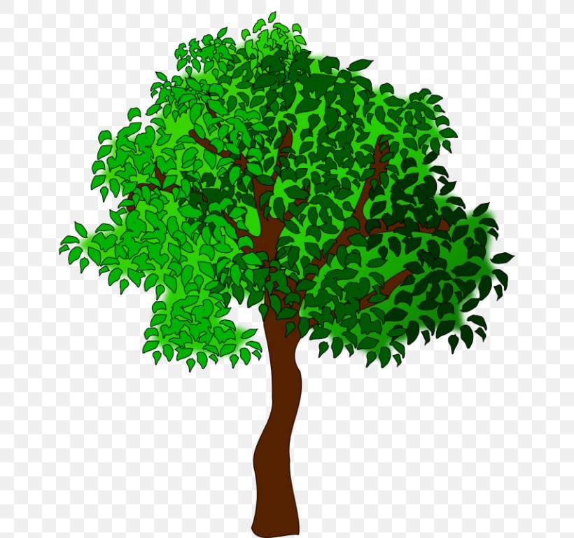 Clip Art, PNG, 768x768px, Tree, Bing, Branch, Drawing, Grass Download Free