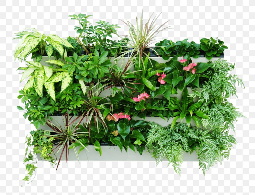 Green Wall Gardening Vertical Gardens Hydroponics, PNG, 1024x785px, Green Wall, Bottle Garden, Flowerpot, Garden, Gardening Download Free