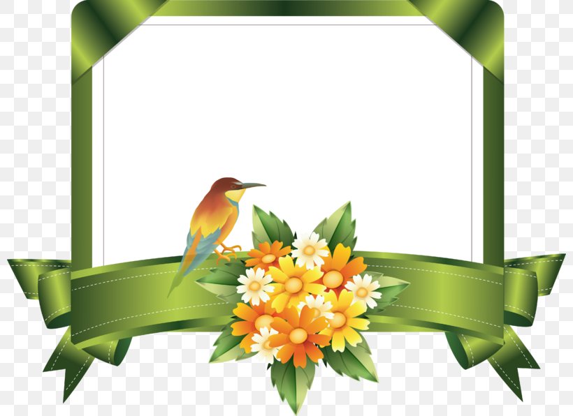 Kard, PNG, 800x596px, Cdr, Beak, Bird, Birthday, Flora Download Free