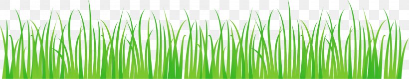 Wheatgrass Green, PNG, 2000x389px, Wheatgrass, Grass, Grass Family, Green, Plant Download Free