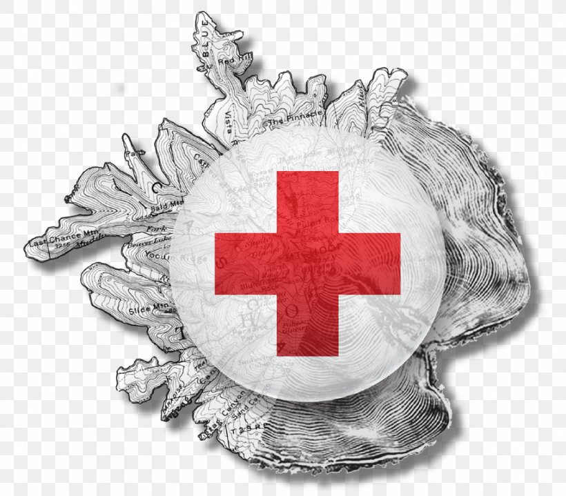 American Red Cross Central Red Cross Society Of China Organization International Committee Of The Red Cross, PNG, 912x800px, American Red Cross, American Red Cross Central, Australian Red Cross, British Red Cross, Donation Download Free