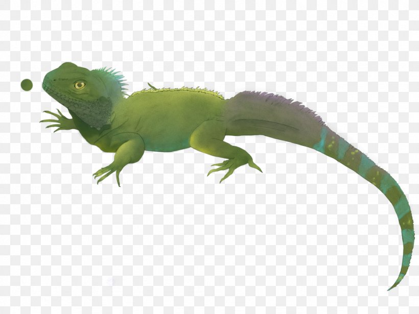 Common Iguanas Amphibian Fauna Tail, PNG, 1024x768px, Common Iguanas, Amphibian, Animal, Animal Figure, Fauna Download Free