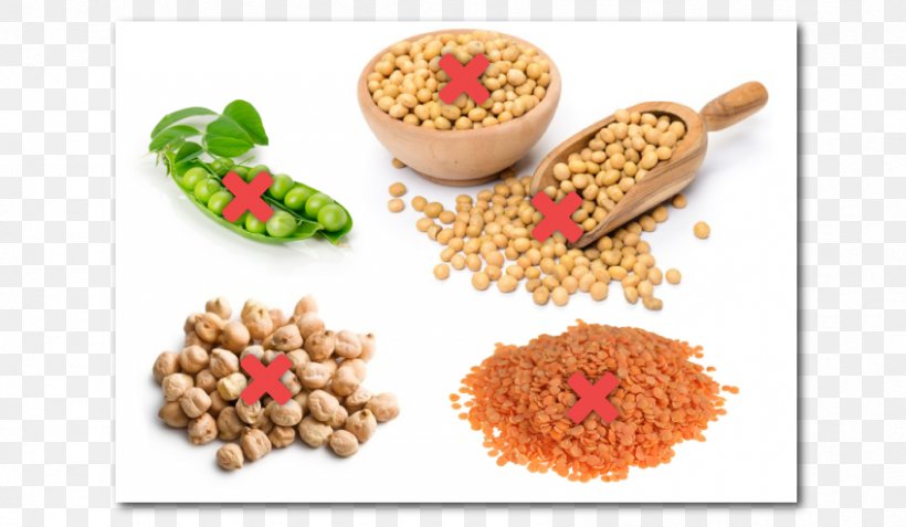 Soybean Agriculture Food Product Vegetarian Cuisine, PNG, 847x493px, Soybean, Agriculture, Bean, Commodity, Company Download Free