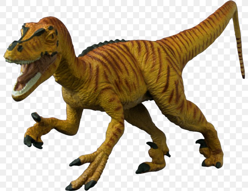 Dinosaur Jurassic Park, PNG, 800x631px, Dinosaur, Age Of Dinosaurs, Animal Figure, Brontosaurus, Carnivoran Download Free