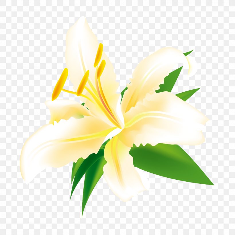 Easter Lily Euclidean Vector Flower Illustration, PNG, 1500x1500px, Easter Lily, Cut Flowers, Daylily, Flower, Flowering Plant Download Free
