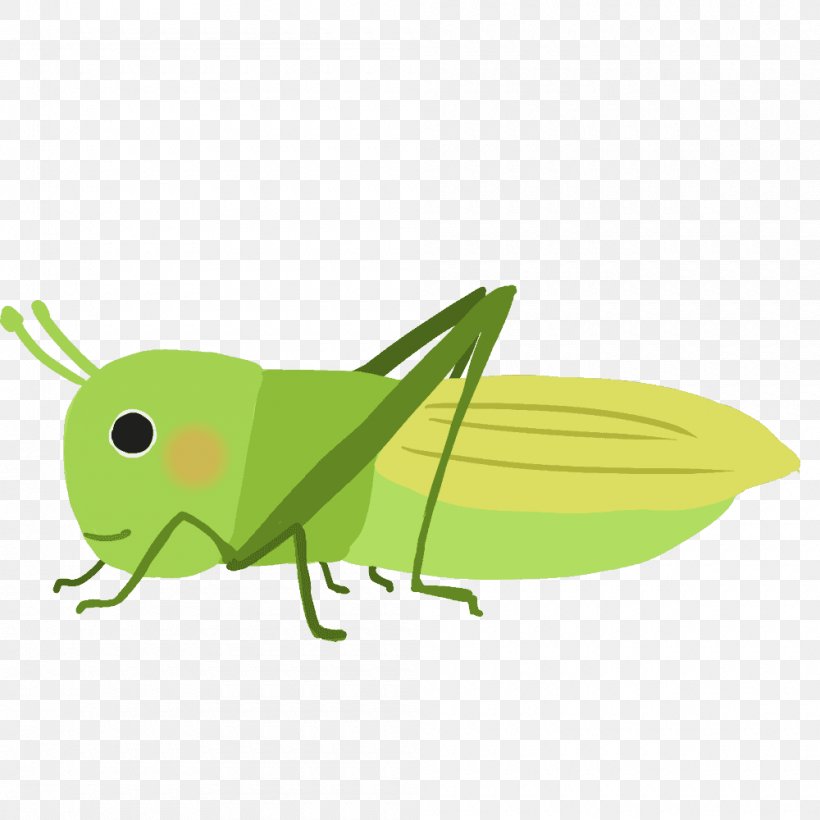 Grasshopper Locust Insect Clip Art, PNG, 1000x1000px, Grasshopper, Arthropod, Cricket Like Insect, Fauna, Grass Download Free