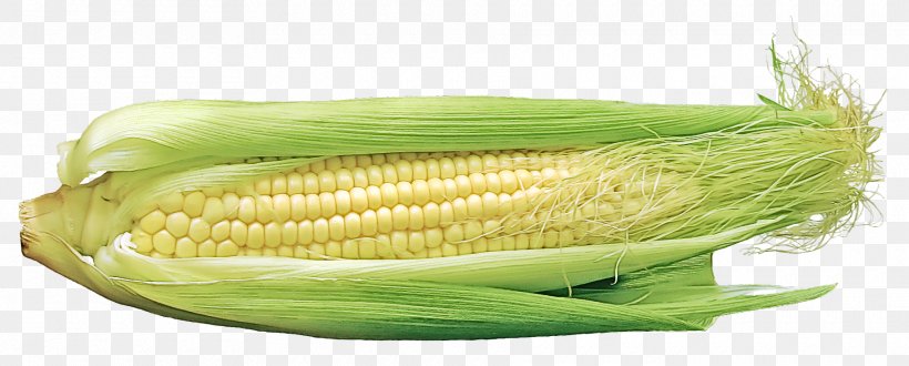 Corn On The Cob Vegetable Corn Kernels Corn Sweet Corn, PNG, 1820x734px, Corn On The Cob, Corn, Corn Kernels, Food, Plant Download Free