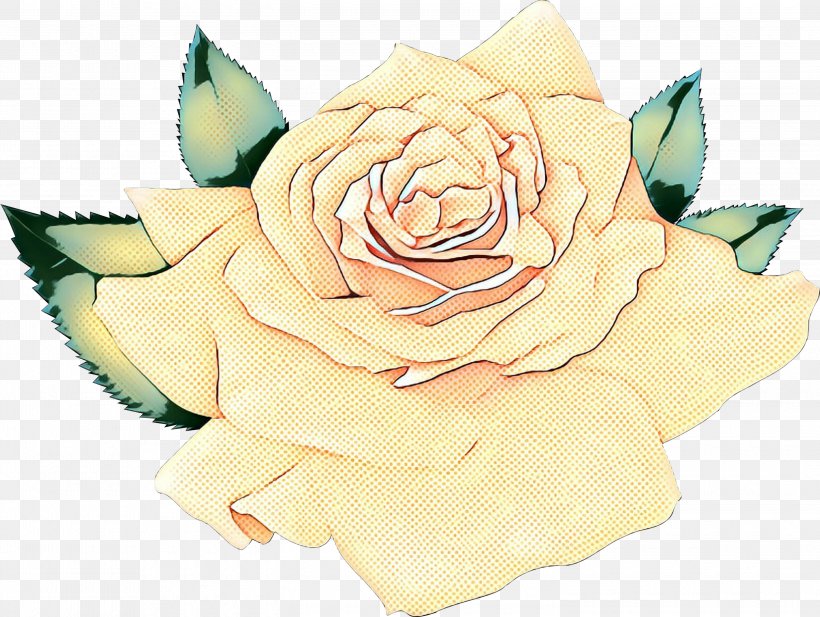 Garden Roses Cabbage Rose Cut Flowers Floral Design Petal, PNG, 3000x2260px, Garden Roses, Artificial Flower, Beige, Cabbage Rose, Cut Flowers Download Free