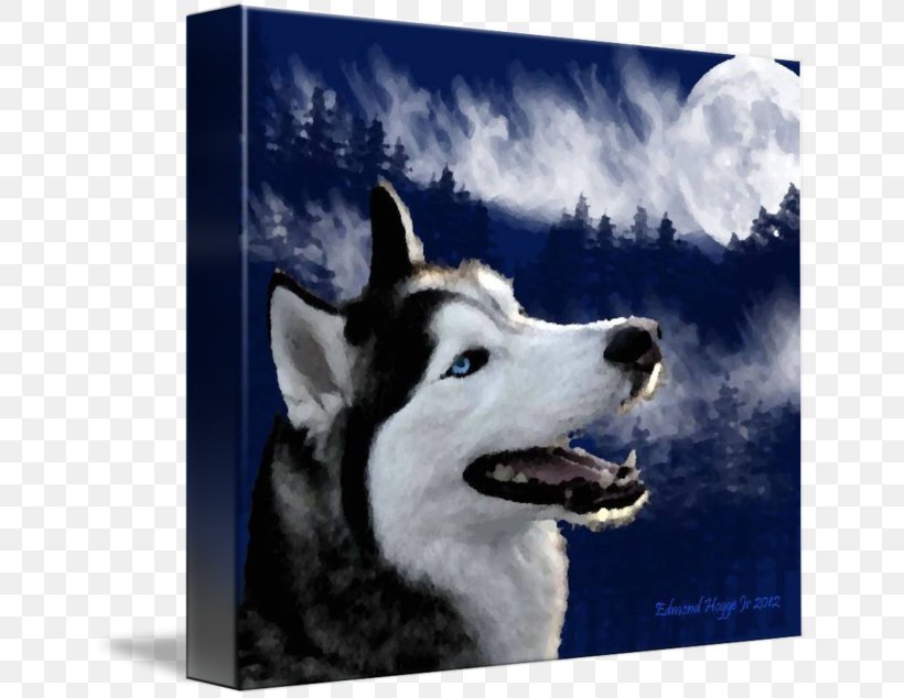 Siberian Husky Sakhalin Husky Alaskan Malamute Canadian Eskimo Dog Seppala Siberian Sleddog, PNG, 650x634px, Siberian Husky, Alaskan Husky, Alaskan Malamute, American Eskimo Dog, Breed Download Free