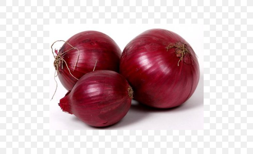 White Onion Red Onion Salsa, PNG, 500x500px, White Onion, Beet, Beetroot, Christmas Ornament, Cranberry Download Free