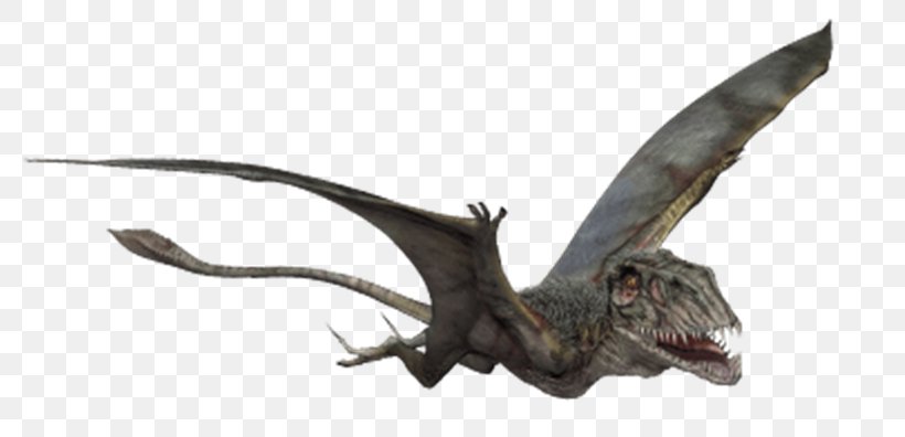 Dinosaur Dimorphodon Jurassic Park Pteranodon, PNG, 800x396px, 2015 ...