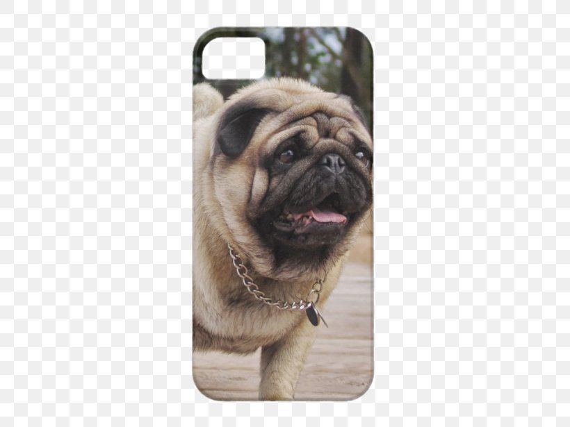 Pug IPhone 5s French Bulldog IPhone 5c, PNG, 615x615px, Pug, Carnivoran, Case, Dog, Dog Breed Download Free