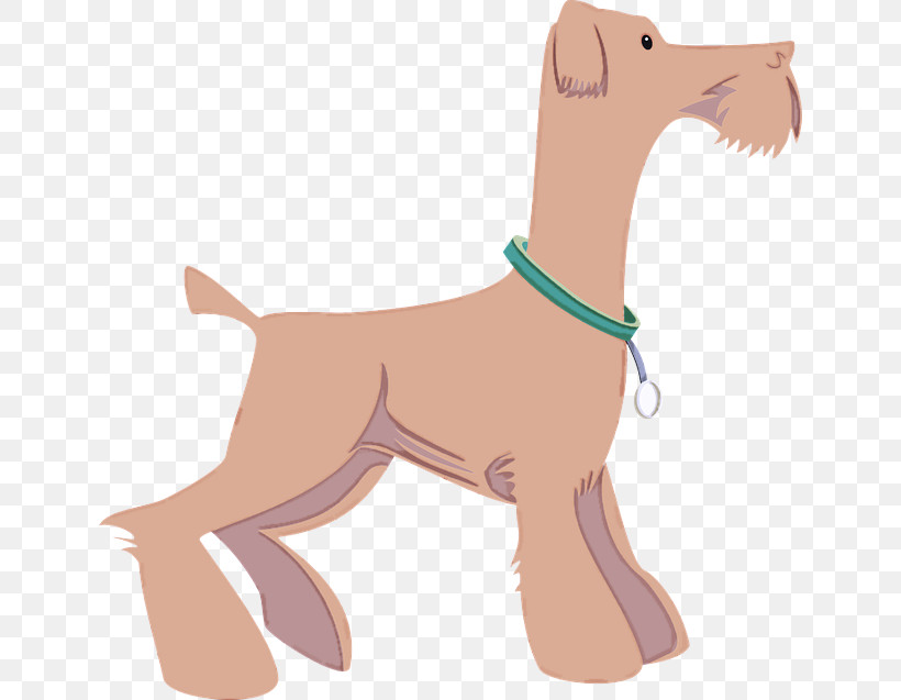 Dog Tail Fawn Liver Airedale Terrier, PNG, 640x637px, Dog, Airedale Terrier, Fawn, Liver, Tail Download Free
